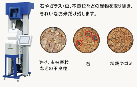 石やガラス・虫、不良粒などの異物を取り除き、きれいなお米だけ残します。やけ、虫被害粒などの不良粒、石、籾殻やゴミ